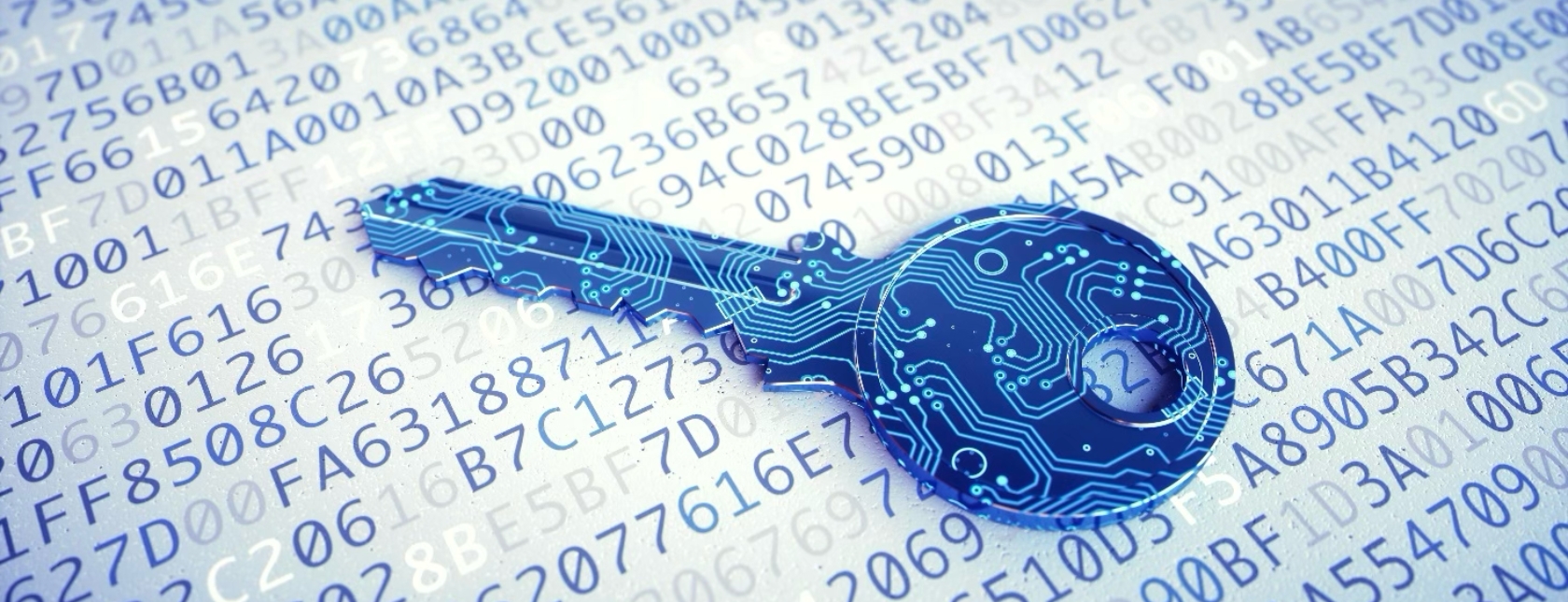 Ethical Hacking Foundation