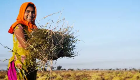 SDG 1 - No poverty