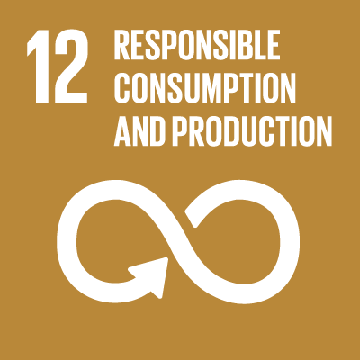 12. Responsible consumption and production