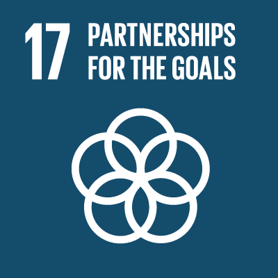 17. Partnerships for the goals