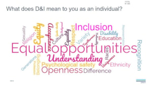 slide on what diversity and inclusion means