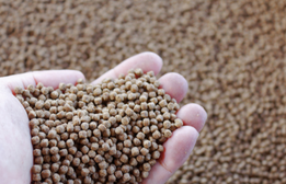 ASC fiskefoderstandard