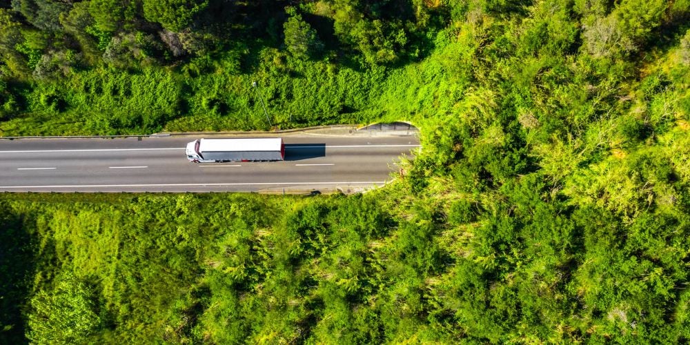 En bil på vejen, omgivet af grøn natur