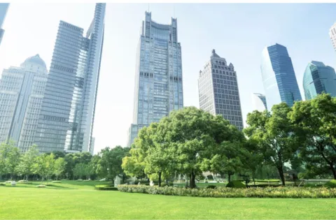 Environmental Management System Lead Auditor Training Course - ISO 14001 (in English)