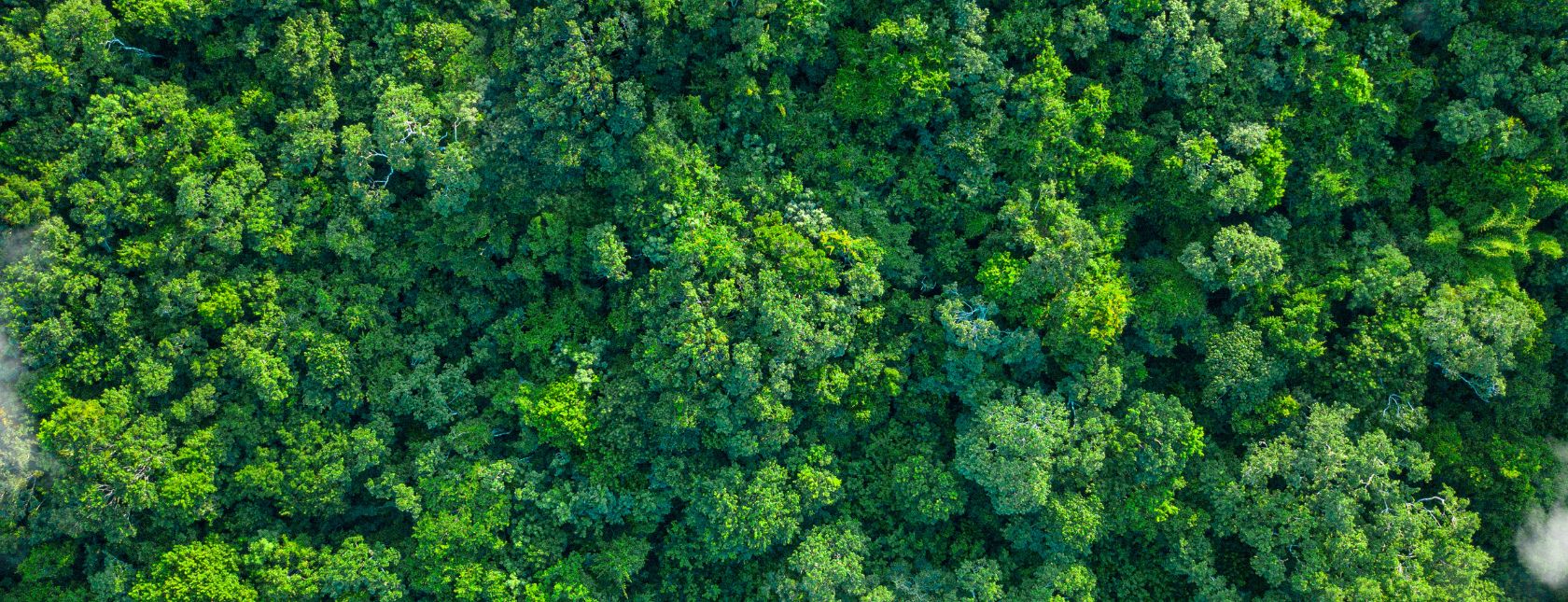 Revision af ISO 14001 – Miljøledelse