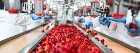 De-seeding of cherries in chia pudding factory