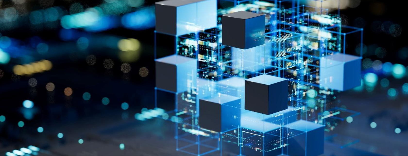 Secure Software Certification Programme