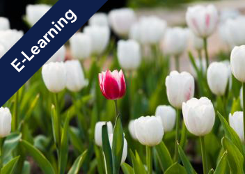 Diversity and Inclusion awareness