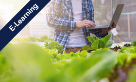 FSSC 22000 version 6 Requirements Training Course E-Learning