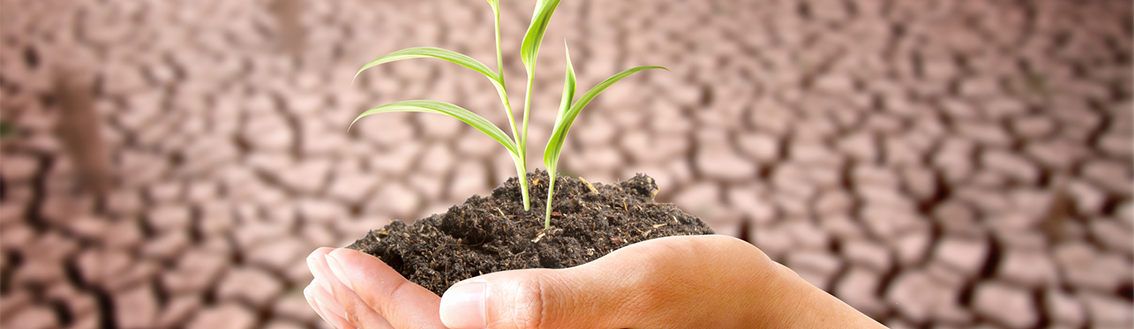 eLearning: Climate Change Amendment to ISO Management System Standards