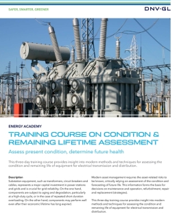 Conditie- en Restlevensduurbepaling