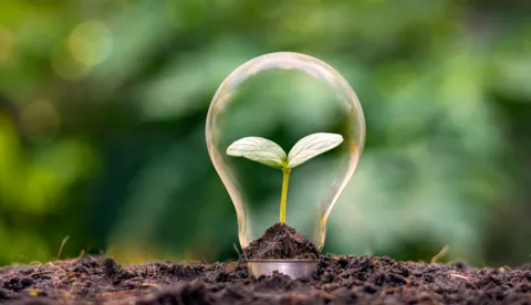 ISO 14001:2015 Auditor Training Course | CQI and IRCA Certified