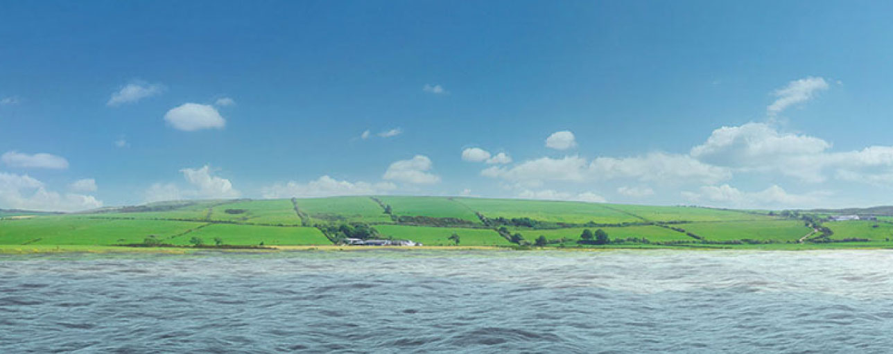 Strand og grøntområde