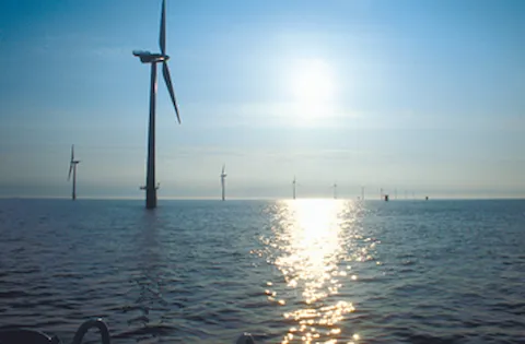 Espresso-undersøgelse: Kortfattet billede af resultaterne af energiaudit - infografik