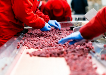 Produktionslinje for kød