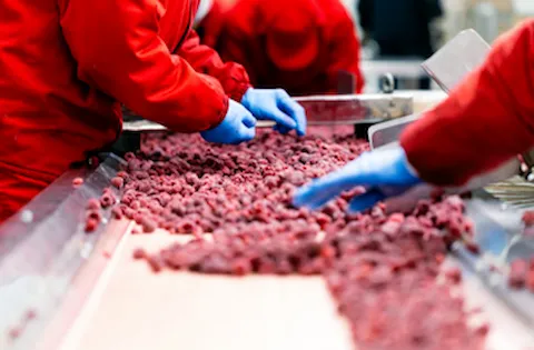 ISO 22000 - Food Safety Management System Induction Course