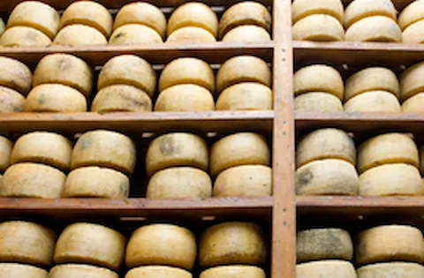 FSSC 22000 version 6 Awareness course