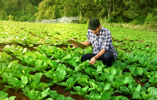 Kurser inden for Fødevaresikkerhed