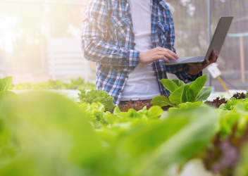 FSSC 22000 version 6 overgang