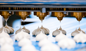 FSSC 22000 - Fødevaresikkerhed