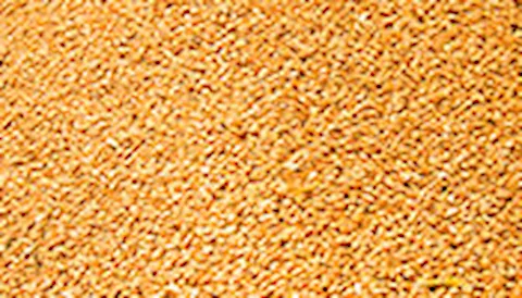 GLOBAL G.A.P Fremstilling af foderblandinger (CFM)