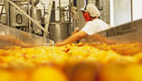 HACCP - Hazard Analysis & Critical Control Points (risikoanalyse og kritiske kontrolpunkter)