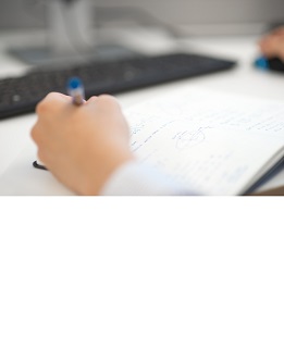 Our interactive model 