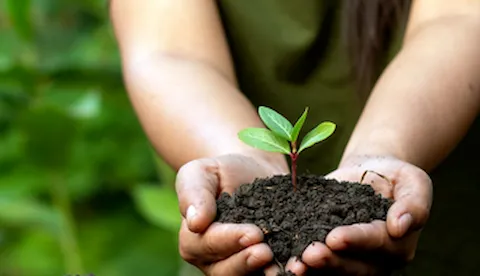 Download vores ISO 14001:2015 guide