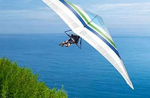 Self-assessment suite