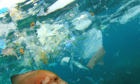 Operation Clean Sweep (OCS) - System til håndtering af tab af plastpiller