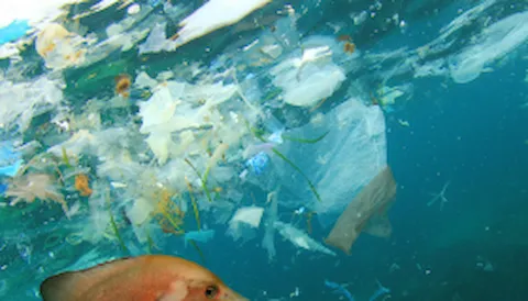 Operation Clean Sweep (OCS) - System til håndtering af tab af plastpiller