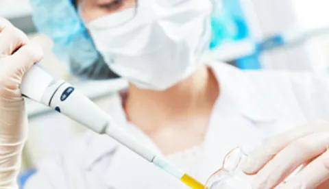 Person Responsible for Regulatory Compliance (PRRC)