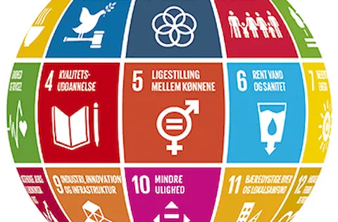 What are SDGs and How to adopt them in your strategy?
