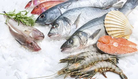 Fisk og skaldyr og akvakultur