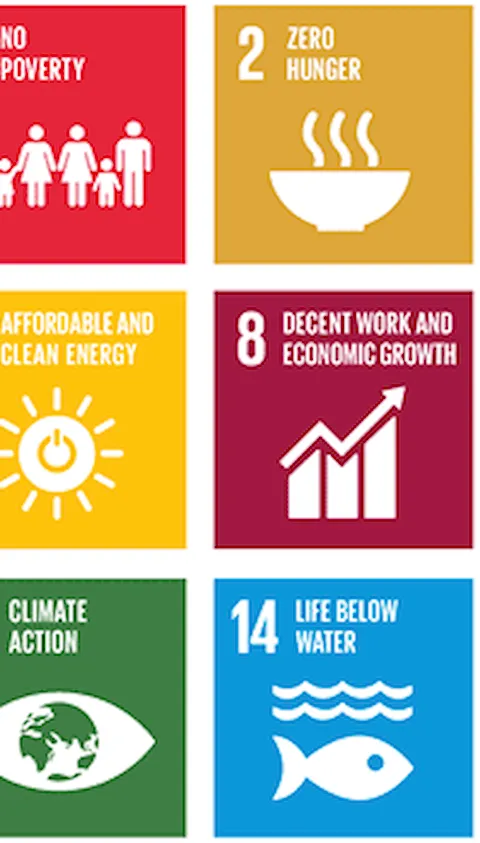 Sustainable development goals grid