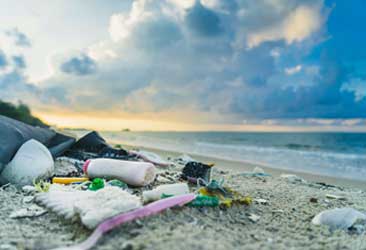 ViewPoint: Circular economy consumers - detaljerede resultater