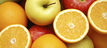 Fundamentals in Food Safety Management Systems