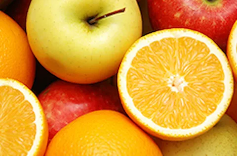 Fundamentals in Food Safety Management Systems